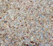 TP de la Save  B�ton d�sactiv� pastel blanc