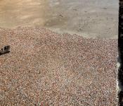 TP de la Save  B�ton d�sactiv� pastel gris